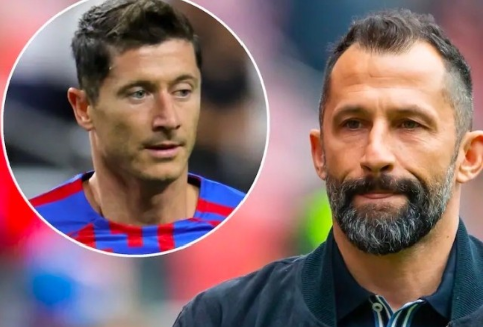 的教科书 的教科书